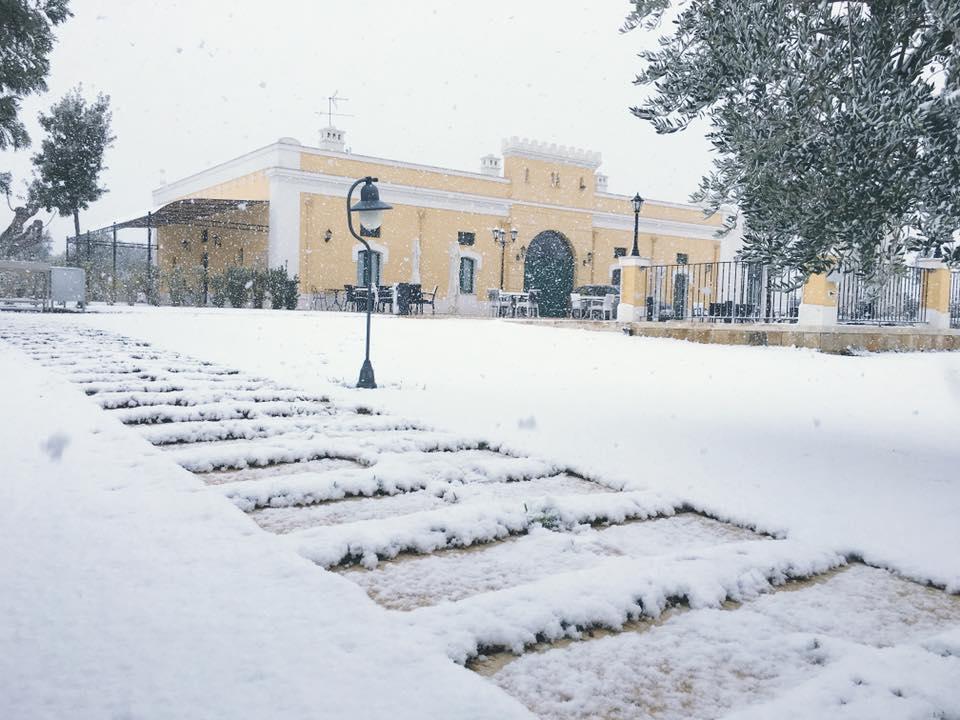 Tenuta Orsanese 3*